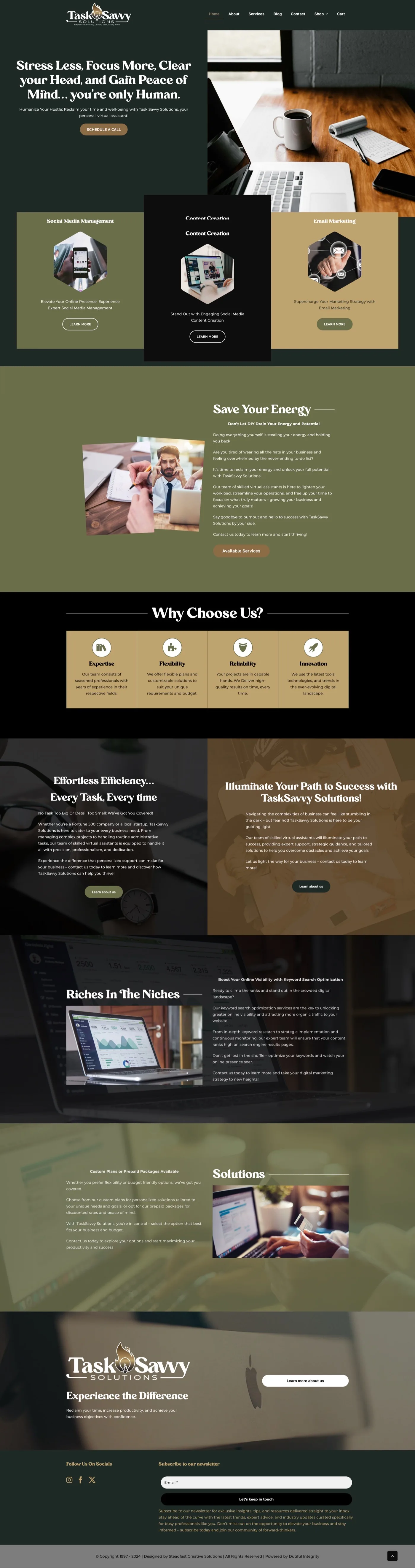 Task Savvy Solutions website screenshot